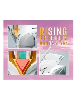 Bandai BN Head Collection Vol.4 Mobile Suit Gundam STTS-909 Rising Freedom Gundam Head Sculpt