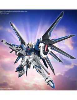 Bandai High Grade HGCE 1/144 Mobile Suit Gundam STTS-909 Rising Freedom Gundam