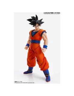 Bandai IMAGINATION WORKS Dragon Ball Z Son Goku