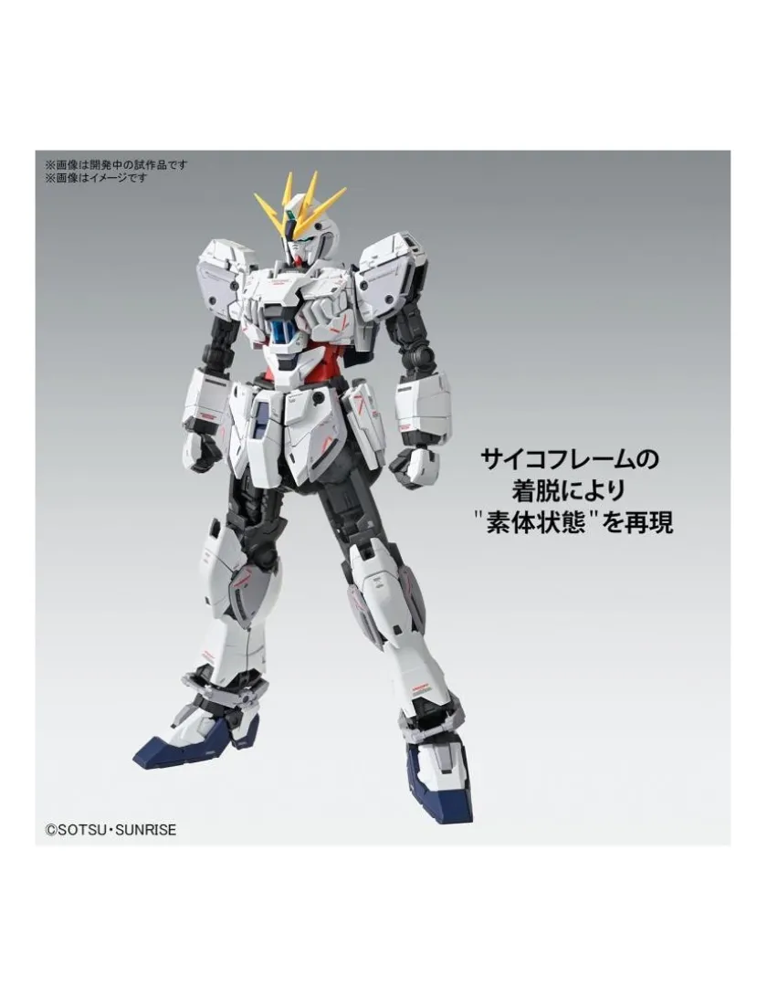 Bandai Master Grade MG 1/100 Mobile Suit Gundam RX-9/C Narrative Gundam C-Packs Narrative Version Ver.Ka
