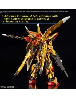 Bandai Real Grade RG 1/144 Mobile Suit Gundam ORB-01 Akatsuki Gundam Oowashi Unit
