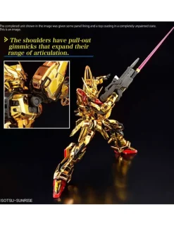 Bandai Real Grade RG 1/144 Mobile Suit Gundam ORB-01 Akatsuki Gundam Oowashi Unit