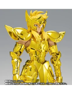 Bandai Saint Seiya Myth Cloth EX Gold Saint Aquarius Hyoga Successor of the Golden Cloth