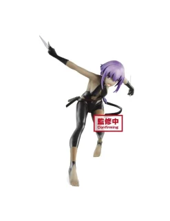 Banpresto Fate/Grand Order The Movie Divine Realm of the Round Table Camelot Hassan of the Serenity