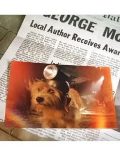 Doctor Collector Back To The Future Time Travel Memories II Box Set