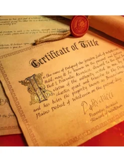 Doctor Collector The Elder Scrolls V Skyrim Honorary Citizenship Chest Whiterun Gift Box