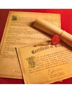 Doctor Collector The Elder Scrolls V Skyrim Honorary Citizenship Chest Whiterun Gift Box