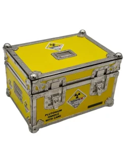 Factory Entertainment Back to the Future Plutonium Case