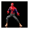 Hasbro Marvel Legends Spider-Man Across the Spider-Verse Peter B. Parker