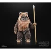 Hasbro Star Wars The Black Series Wicket