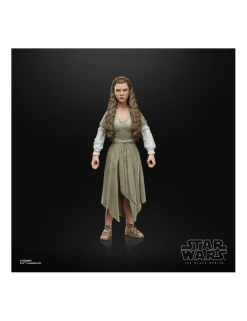Hasbro Star Wars The Black Series Princess Leia Organa Ewok Village
