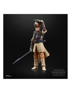 Hasbro Star Wars The Black Series Princess Leia Organa Boushh