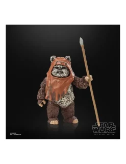 Hasbro Star Wars The Black Series Wicket