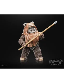Hasbro Star Wars The Black Series Wicket