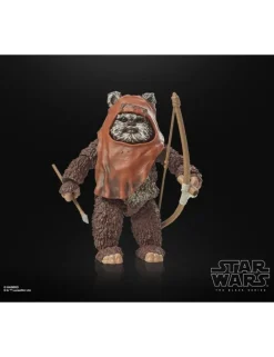 Hasbro Star Wars The Black Series Wicket