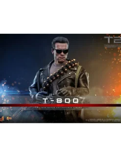 Hot Toys Movie Masterpiece Terminator 2 Judgement Day T-800 2.0 1/6 Scale Collectible Figure