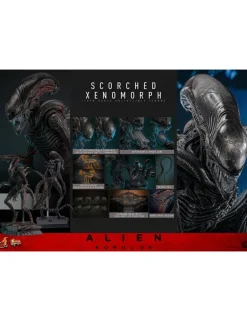 Hot Toys Movie Masterpiece Alien Romulus Scorched Xenomorph 1/6 Scale Collectible Figure