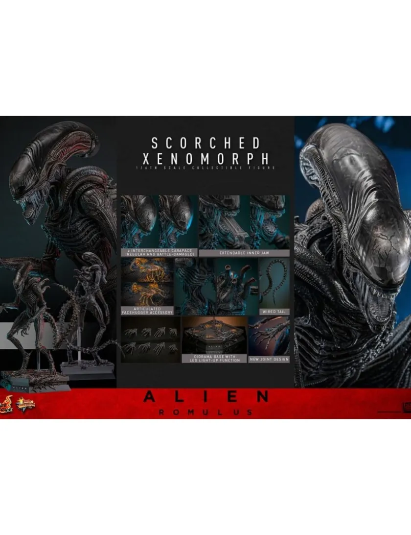 Hot Toys Movie Masterpiece Alien Romulus Scorched Xenomorph 1/6 Scale Collectible Figure
