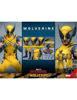 Hot Toys Movie Masterpiece Deadpool & Wolverine Wolverine 1/6 Scale Collectible Figure