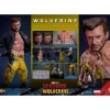 Hot Toys Movie Masterpiece Deadpool & Wolverine Wolverine TVS Jacket Version 1/6 Scale Collectible Figure