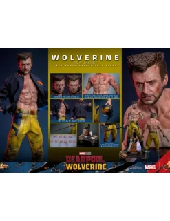Hot Toys Movie Masterpiece Deadpool & Wolverine Wolverine TVS Jacket Version 1/6 Scale Collectible Figure