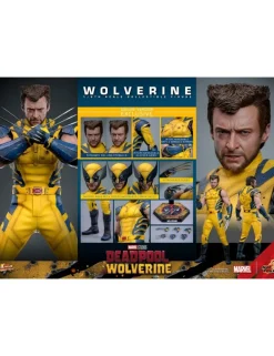 Hot Toys Movie Masterpiece Deadpool & Wolverine Wolverine 1/6 Scale Collectible Figure Deluxe Edition