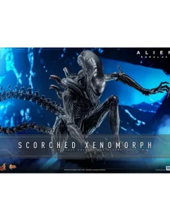 Hot Toys Movie Masterpiece Alien Romulus Scorched Xenomorph 1/6 Scale Collectible Figure