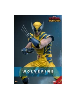 Hot Toys Movie Masterpiece Deadpool & Wolverine Wolverine 1/6 Scale Collectible Figure