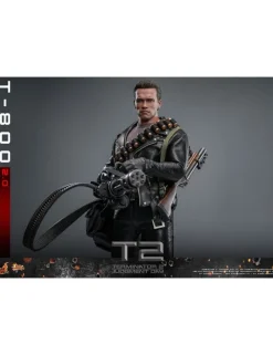Hot Toys Movie Masterpiece Terminator 2 Judgement Day T-800 2.0 1/6 Scale Collectible Figure