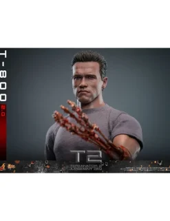 Hot Toys Movie Masterpiece Terminator 2 Judgement Day T-800 2.0 1/6 Scale Collectible Figure