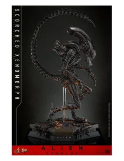 Hot Toys Movie Masterpiece Alien Romulus Scorched Xenomorph 1/6 Scale Collectible Figure