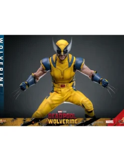 Hot Toys Movie Masterpiece Deadpool & Wolverine Wolverine 1/6 Scale Collectible Figure