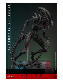 Hot Toys Movie Masterpiece Alien Romulus Scorched Xenomorph 1/6 Scale Collectible Figure