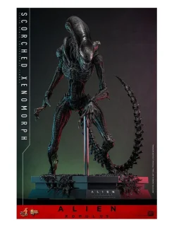 Hot Toys Movie Masterpiece Alien Romulus Scorched Xenomorph 1/6 Scale Collectible Figure