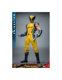 Hot Toys Movie Masterpiece Deadpool & Wolverine Wolverine 1/6 Scale Collectible Figure