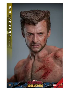 Hot Toys Movie Masterpiece Deadpool & Wolverine Wolverine TVS Jacket Version 1/6 Scale Collectible Figure