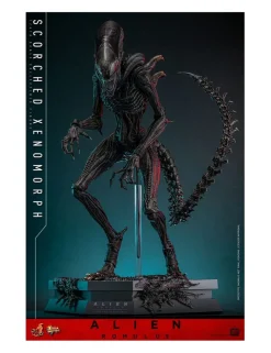 Hot Toys Movie Masterpiece Alien Romulus Scorched Xenomorph 1/6 Scale Collectible Figure