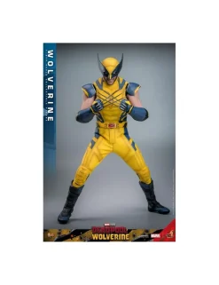 Hot Toys Movie Masterpiece Deadpool & Wolverine Wolverine 1/6 Scale Collectible Figure