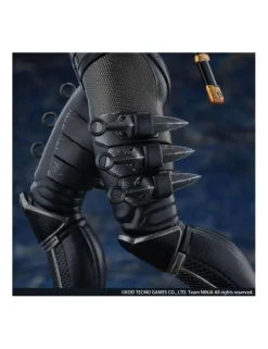 Kaiyodo Ninja Gaiden Ryu Hayabusa 1/7 Scale Statue