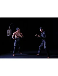 Neca Teenage Mutant Ninja Turtles Oroku Saki & Hamato Yoshi