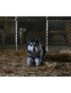 Neca The Thing Dog Creature Set