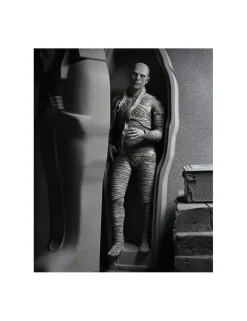 Neca Universal Monsters Ultimate The Mummy Black & White