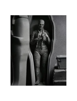 Neca Universal Monsters Ultimate The Mummy Black & White