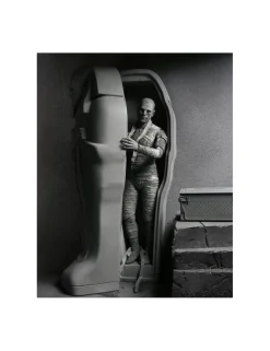 Neca Universal Monsters Ultimate The Mummy Black & White