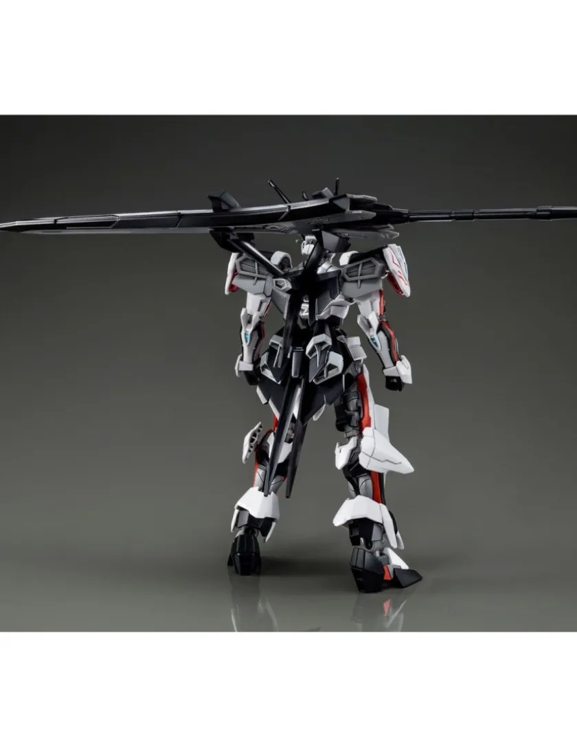 P-Bandai High Grade HG 1/144 Mobile Suit Gundam MHF-01Ω Load Astray Ω